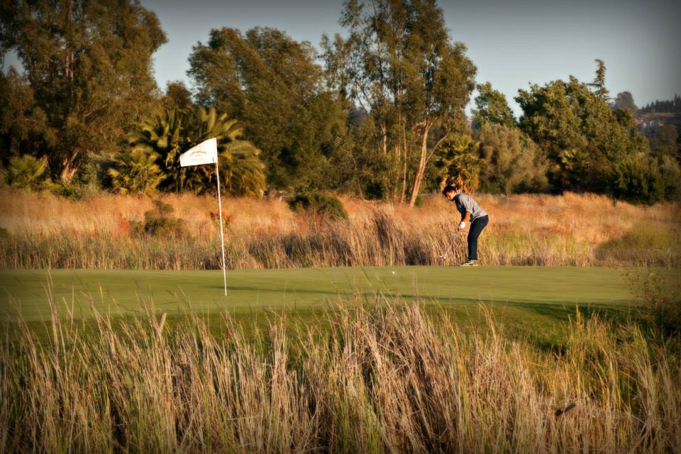 golfer lining up long putt